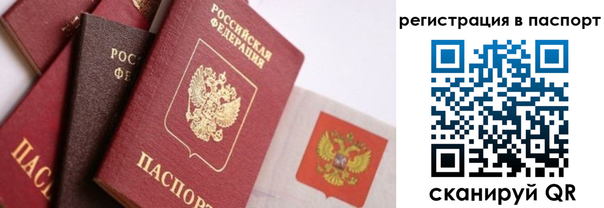 прописка в квартире в Железногорске